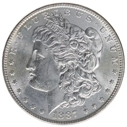 Morgan Silver Dollar (2)