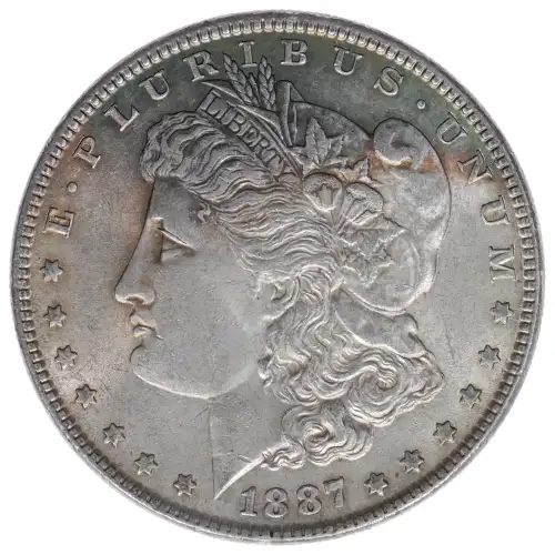 Morgan Silver Dollar