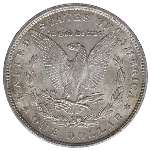 Morgan Silver Dollar (2)
