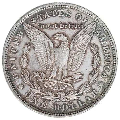 Morgan Silver Dollar (2)