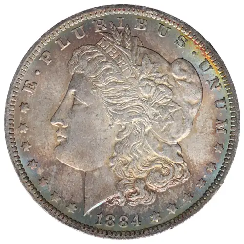 Morgan Silver Dollar (2)
