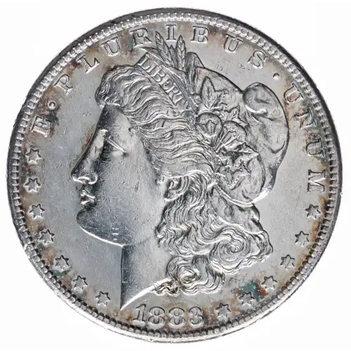 Morgan Silver Dollar (2)