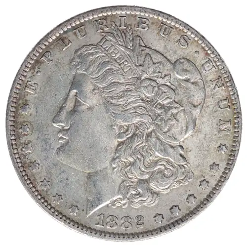 Morgan Silver Dollar
