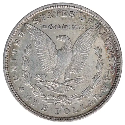 Morgan Silver Dollar (2)