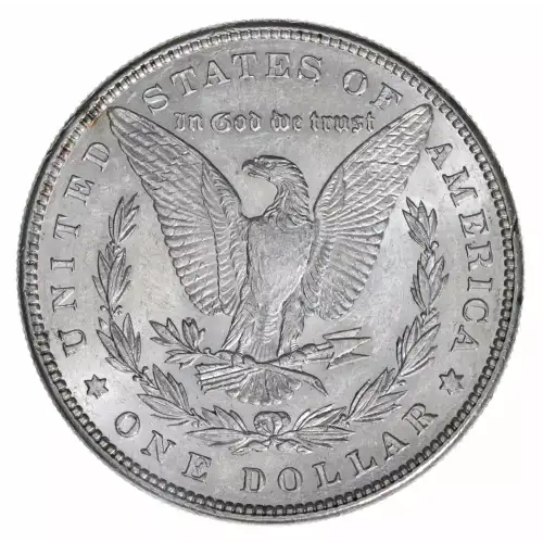 Morgan Silver Dollar (2)