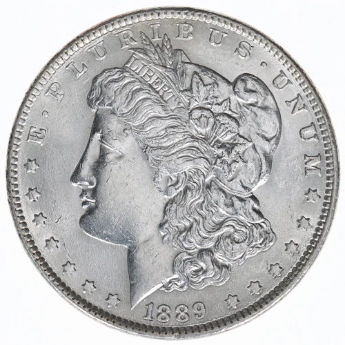 Morgan Silver Dollar