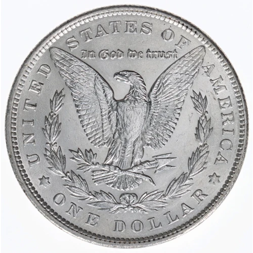 Morgan Silver Dollar (2)