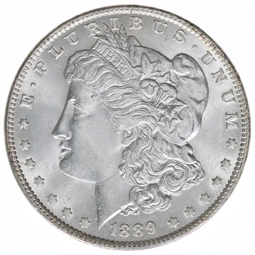 Morgan Silver Dollar (2)