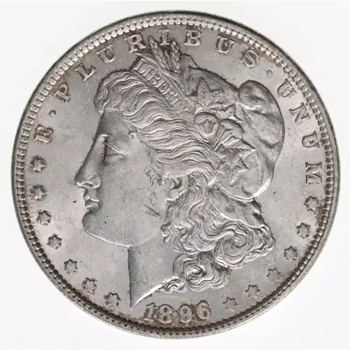 Morgan Silver Dollar