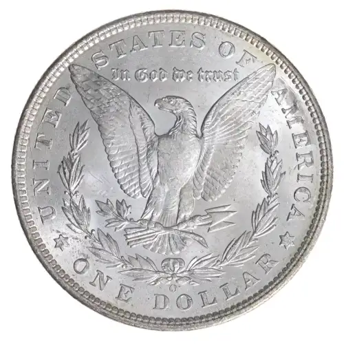 Morgan Silver Dollar (4)