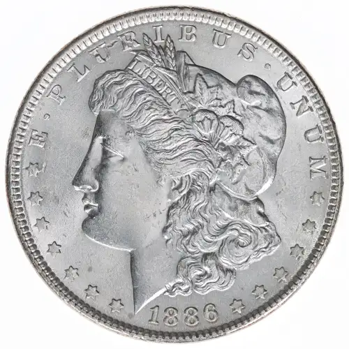 Morgan Silver Dollar