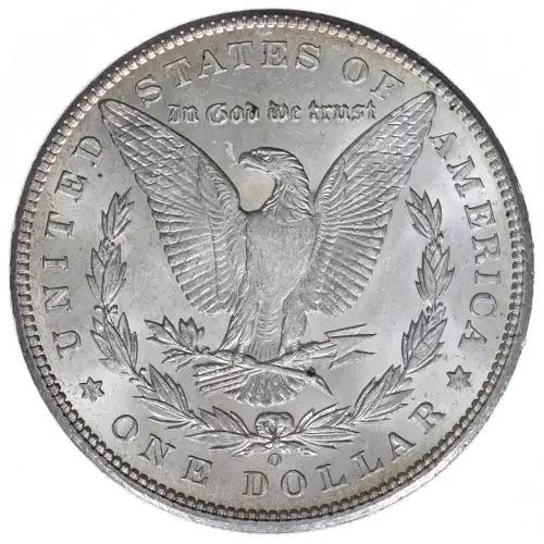 Morgan Silver Dollar (2)