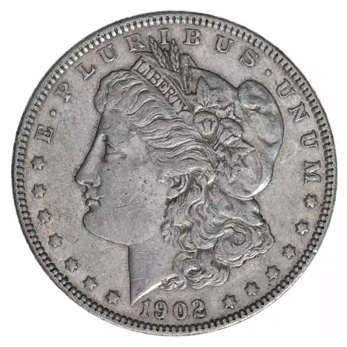Morgan Silver Dollar (2)