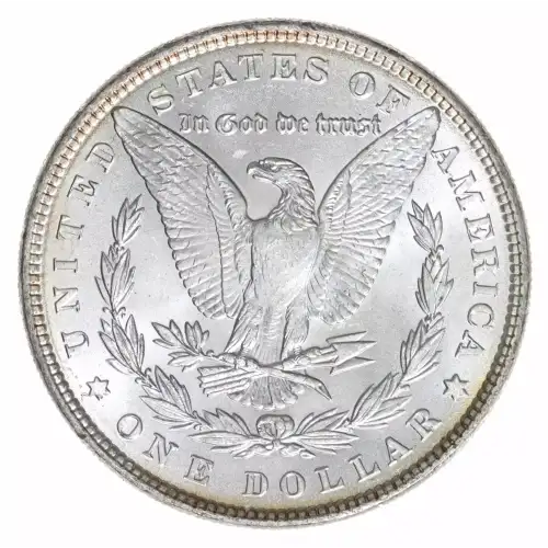 Morgan Silver Dollar (2)