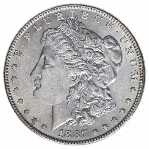 Morgan Silver Dollar