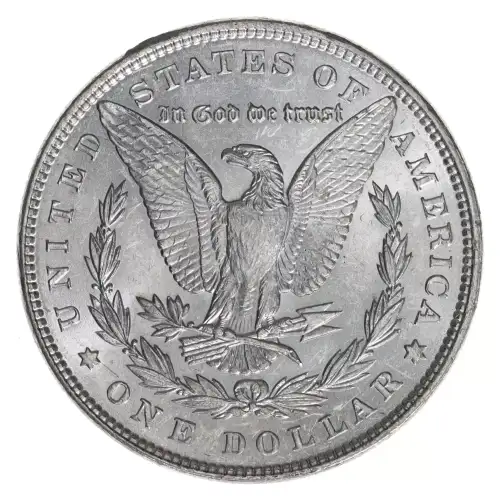 Morgan Silver Dollar (4)