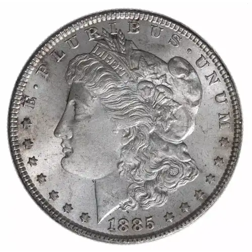 Morgan Silver Dollar (4)