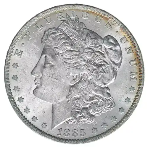 Morgan Silver Dollar (2)