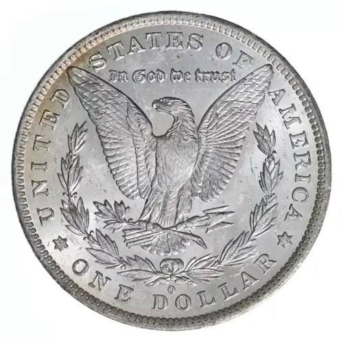Morgan Silver Dollar (2)