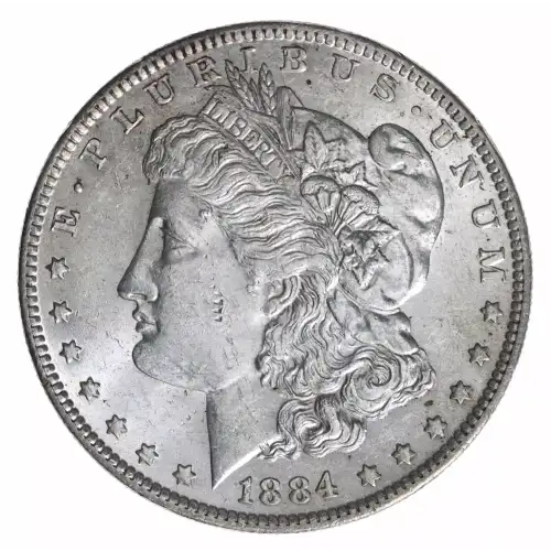Morgan Silver Dollar (2)