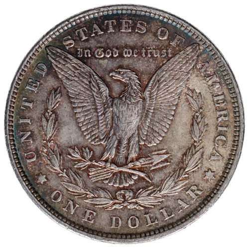 Morgan Silver Dollar (2)
