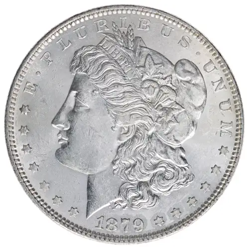 Morgan Silver Dollar (2)