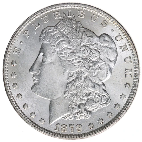 Morgan Silver Dollar (2)