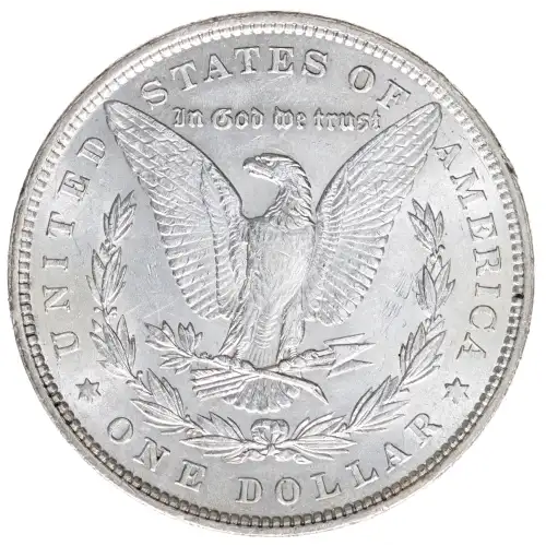 Morgan Silver Dollar (2)