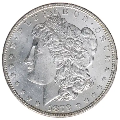 Morgan Silver Dollar (2)