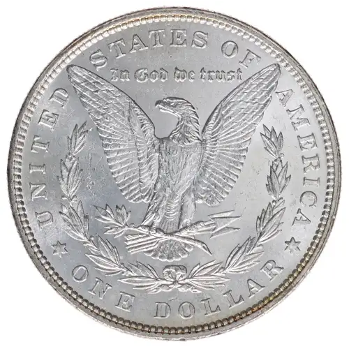 Morgan Silver Dollar