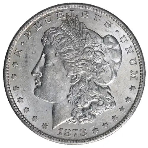 Morgan Silver Dollar (2)