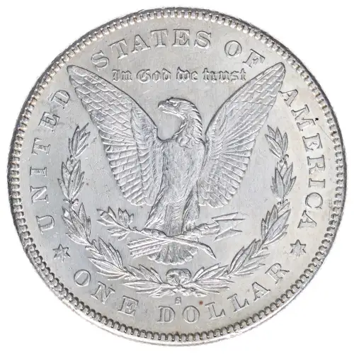 Morgan Silver Dollar (2)