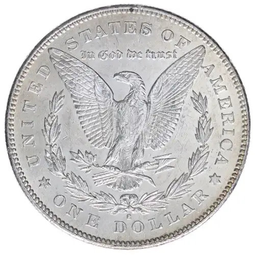 Morgan Silver Dollar (2)