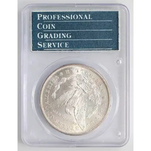Morgan Silver Dollar (2)