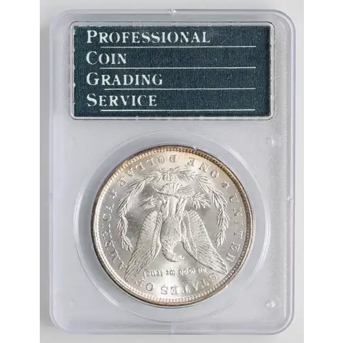 Morgan Silver Dollar (2)