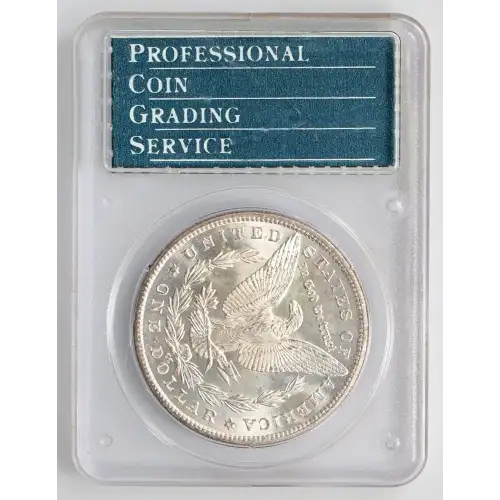 Morgan Silver Dollar (2)