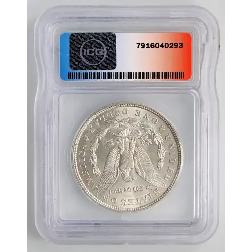 Morgan Silver Dollar (2)