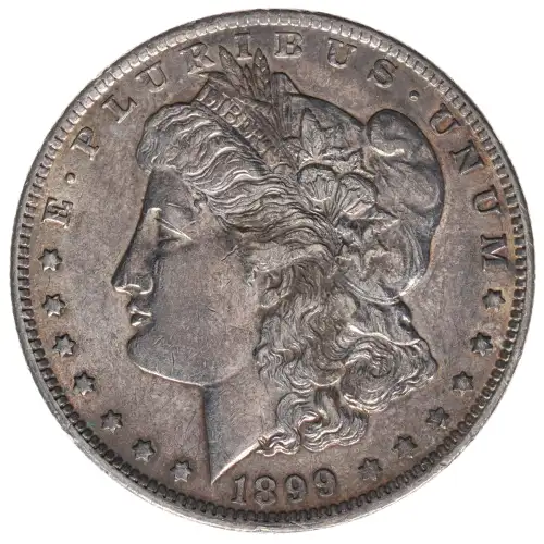 Morgan Silver Dollar