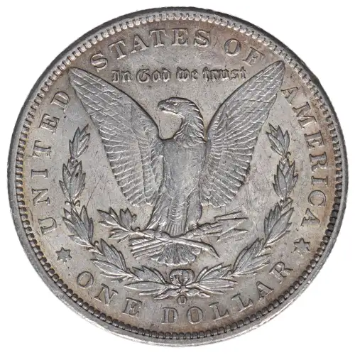 Morgan Silver Dollar (2)