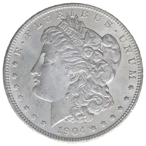 Morgan Silver Dollar