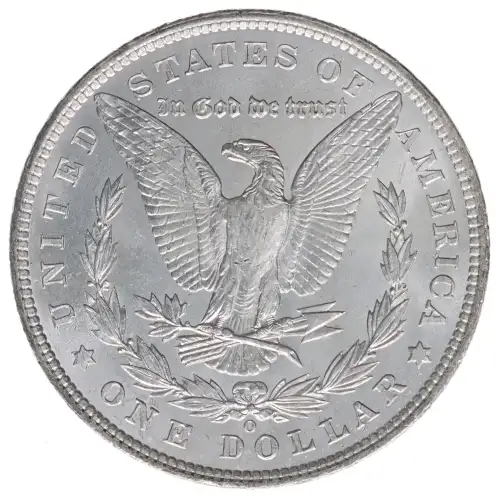 Morgan Silver Dollar (2)