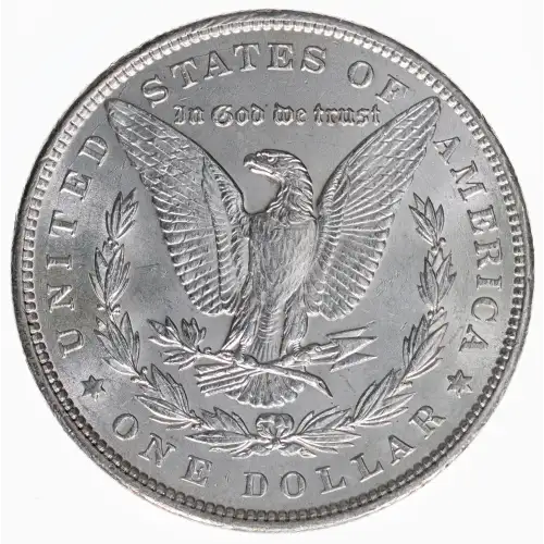 Morgan Silver Dollar (2)