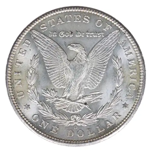 Morgan Silver Dollar (2)