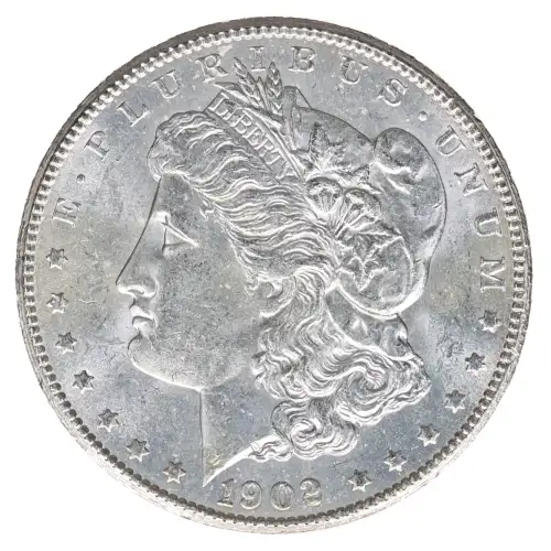 Morgan Silver Dollar