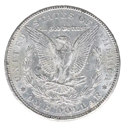 Morgan Silver Dollar (2)