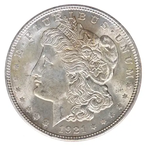 Morgan Silver Dollar