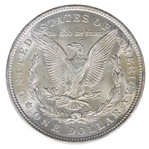 Morgan Silver Dollar (2)