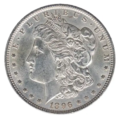 Morgan Silver Dollar (2)