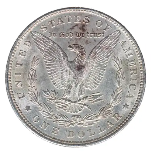 Morgan Silver Dollar