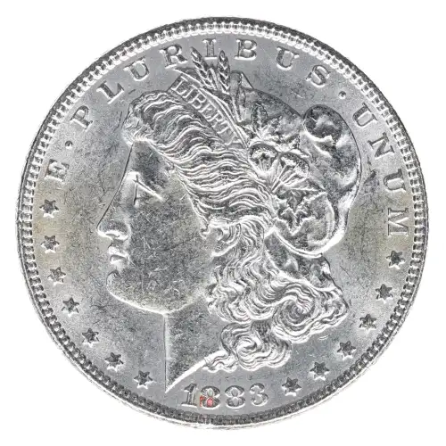 Morgan Silver Dollar